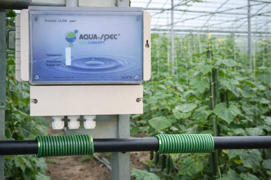 Technologie ULF installée sur un système d’irrigation dans une serre de concombres pour améliorer la mouillabilité de l’eau et l’efficacité de l’irrigation.